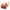 Beige+Caramel, variant on fheaev 2 Pack Front Closure Bras For Women Plus Size Full Coverage No Underwire Comfort Wireless Snap Closing Convenient Everyday Bra Front Button Bras Middle-Aged Older Women Front Buckle Corset Bra
