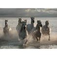 thumbnail image 3 of Llovet, Jorge 14x11 Black Modern Framed Museum Art Print Titled - Horses Landing at the Beach, 3 of 5