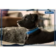 thumbnail image 4 of Adaptil On-the-Go Calming Collar for Dogs, Small, up to 14.7-in neck, 4 of 4