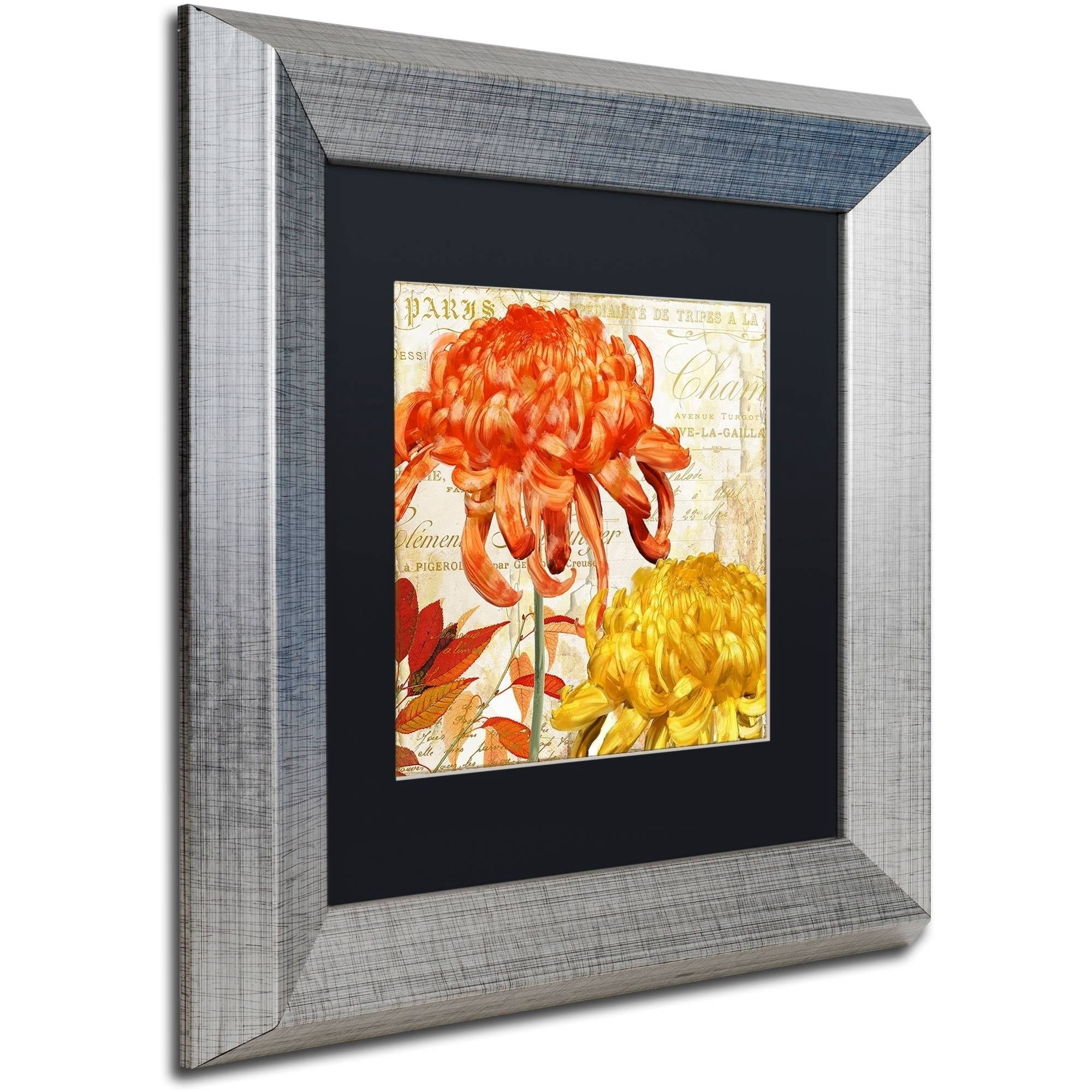 Trademark Fine Art "Chrysanthemums I" Canvas Art by Color Bakery Black Matte, Silver Frame