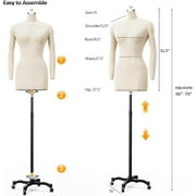 Professional Sewing Mannequin, Female Dress Form for Display and Tailor Design, Height Adjustable Torso with Stable Metal Base