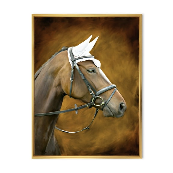 Designart 'Close Up Portrait Of Brown Horse With White Ears' Farmhouse Framed Canvas Wall Art Print