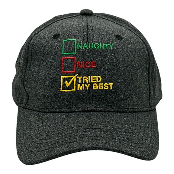Naughty List Nice List Tried My Best Hat Funny Sarcastic Christmas Graphic Novelty Cap