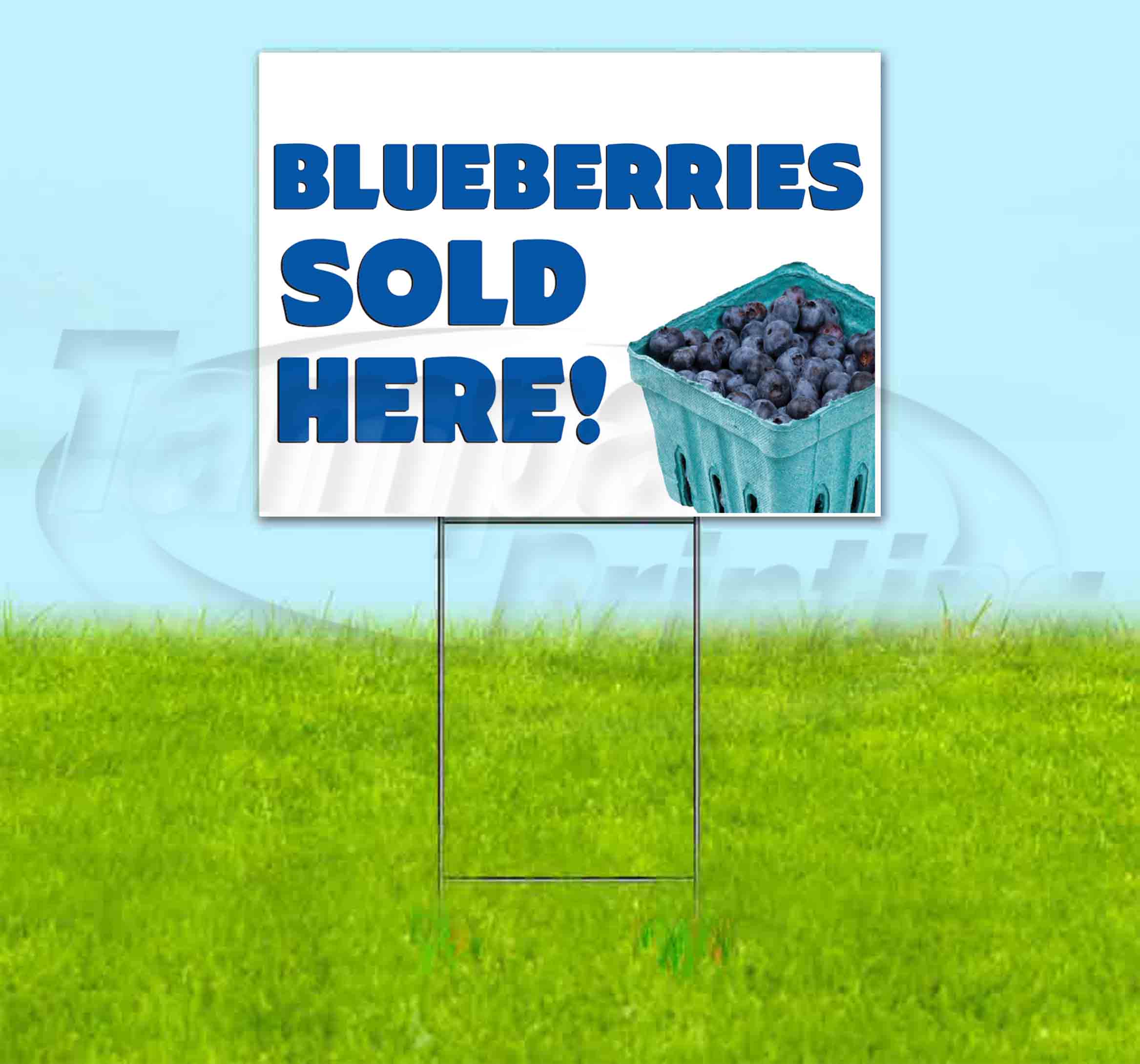 Business & Industrial 18"x24" Fresh Blueberries Yard Sign Farm Stand