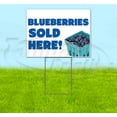 thumbnail image 1 of Blueberries V2 (18" x 24") Yard Sign, Includes Metal Step Stake, 1 of 6
