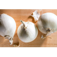 thumbnail image 4 of TomorrowSeeds - Snowball White Onion Sets (Bulbs) Seeds - 1/2 Pound - Variable Set Sizes, 4 of 11