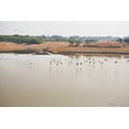 thumbnail image 2 of Millet, Karyn 24x17 White Modern Wood Framed Museum Art Print Titled - Birds II, 2 of 4