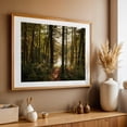 thumbnail image 5 of In the Woods at Puffers Pond, Amherst 04 - Amherst Massachusetts Photography Forest Woodland Nature Wilderness Scenic Lake Autumn Unframed Wall Art Print 5 x 7 inches, 5 of 7