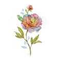 thumbnail image 3 of Nan 20x24 Black Modern Framed Museum Art Print Titled - Summer Spritzer, 3 of 5