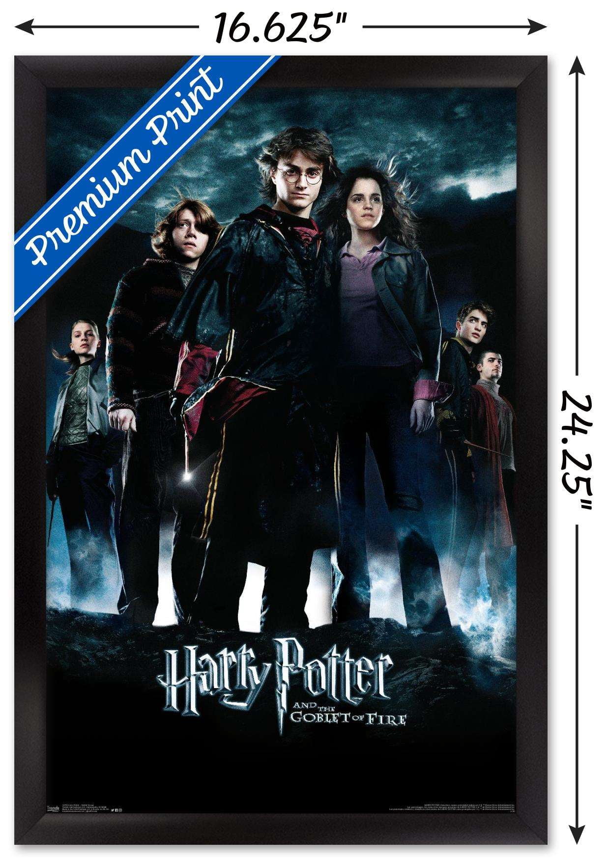 Harry Potter and the Goblet of Fire - Group One Sheet Wall Poster, 14.725" x 22.375", Framed