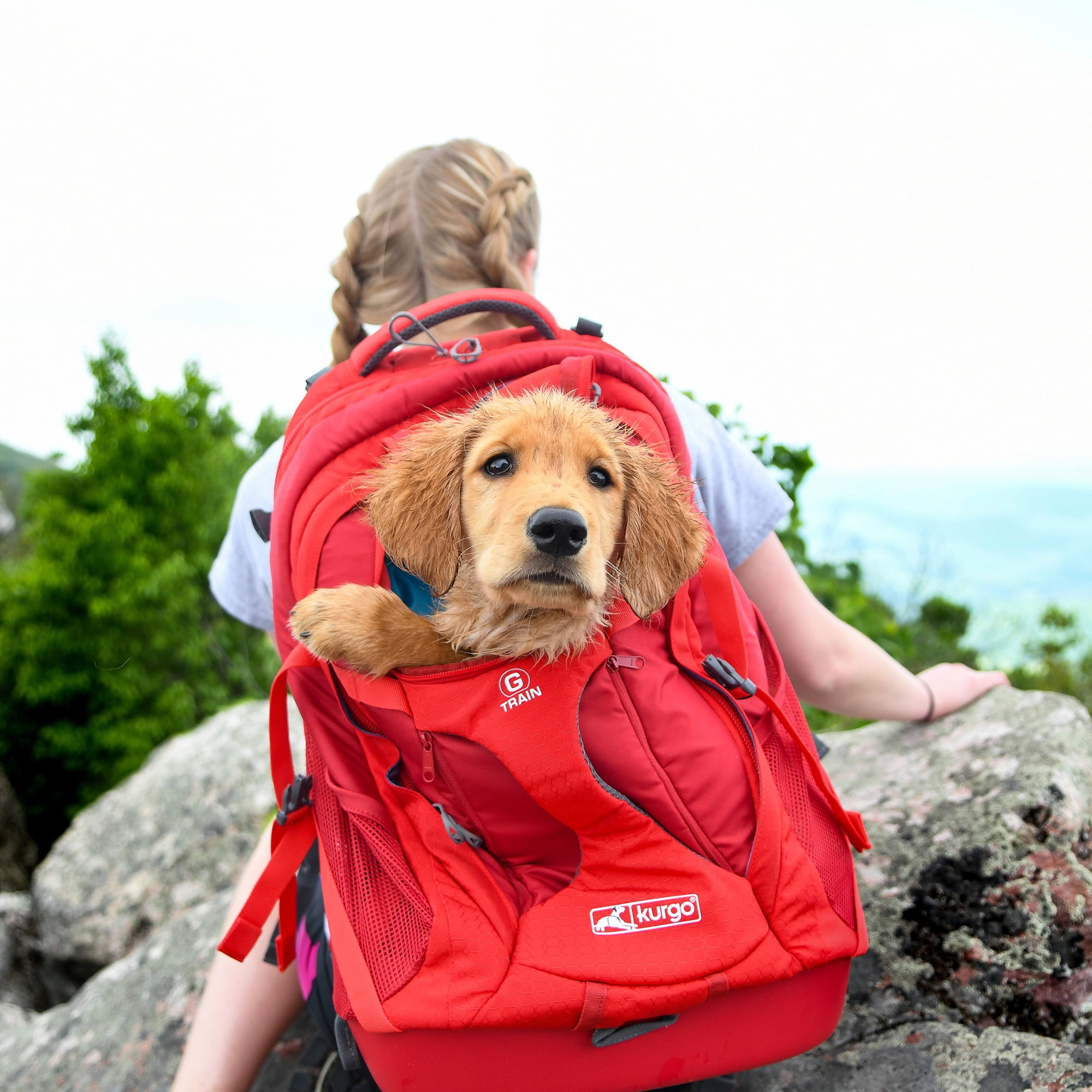 Kurgo G-Train - Dog Carrier Backpack for Small Pets - Cat & Dog Backpack for Hiking, Camping or Travel - Waterproof Bottom - Black