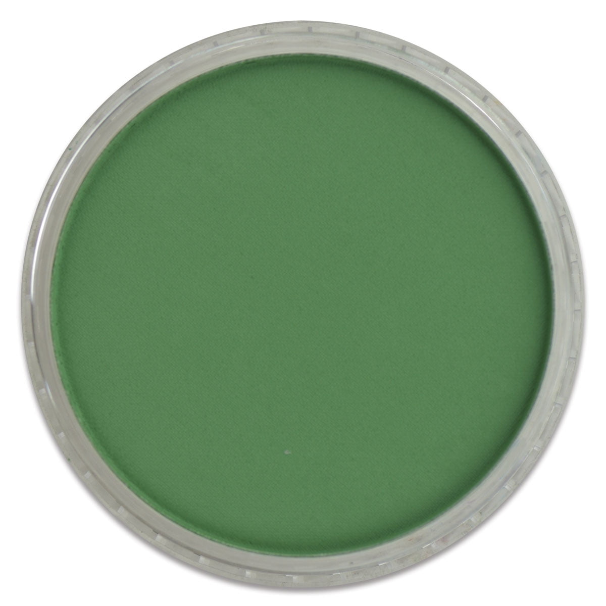 Panpastel® Artist Pastel Pearlescent Green 956.5 
