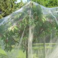 thumbnail image 3 of Insect Bird Barrier Netting Garden Bug Netting Plant Cover Fruit Tree Net For Protect Plant Fruits Flower From Insect Bird Eating, 3 of 15