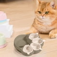 thumbnail image 3 of Binwennn Multifunctional Silicone Bowl Children's Bowl Pet Bowl Cat And Dog Bowl Set Silicone Plates For Children Plates With Suction Cat Silicone Plates In The Shape Of Cat Cat Pad Dog Bowls with Mat, 3 of 3