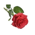 thumbnail image 1 of Bearachild 20 piezas de rosas falsas, simulación decorativa portátil, hogar, dormitorio, fiesta de boda, adorno de rama de flores artificiales Decoración Rojo, 1 of 6