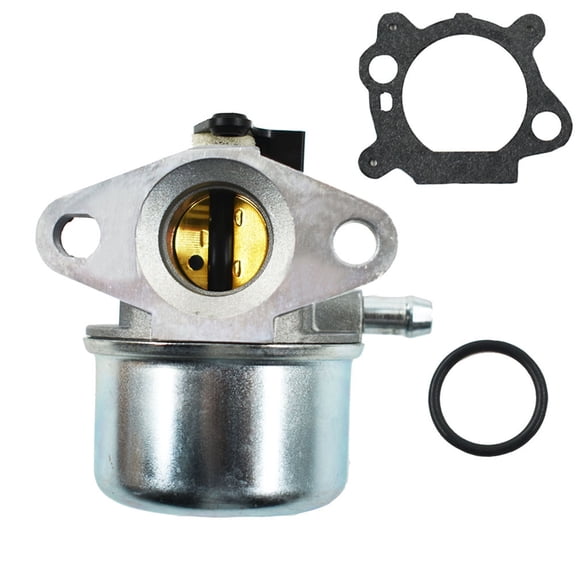 findmall Carburetor Carb for Briggs & Stratton 799868 799872 790821 5.5hp 6.5hp 6.75hp US