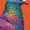 Dove, variant on Majestic Peacock Canvas Print Wall Art Home Decor