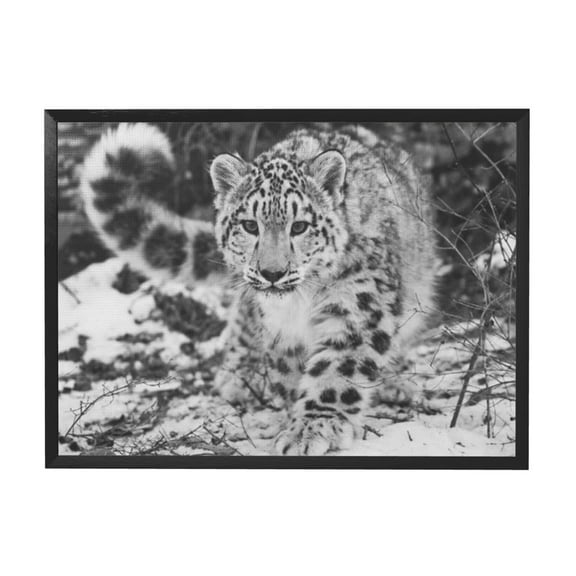 WFSposter Snow Leopard Animal Poster Poster Decorative Painting Canvas Wall Art Living Room Posters Bedroom Painting 8x12in(20x30cm)