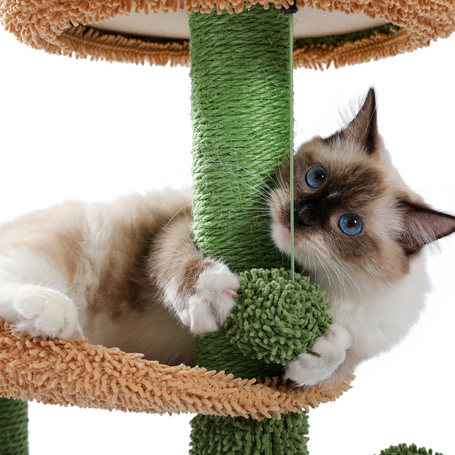 Canddidliike Cactus Cat Tree Bed Plush Perches with Fluffy Balls and Scratching Post Canddidliike Cactus Cat Tree Bed Plush Perches with Fluffy Balls and Scratching Post