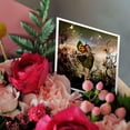 thumbnail image 3 of 3drose, Cute Little Dancing Fairy, 6 Greeting Cards with Envelopes, 3 of 7