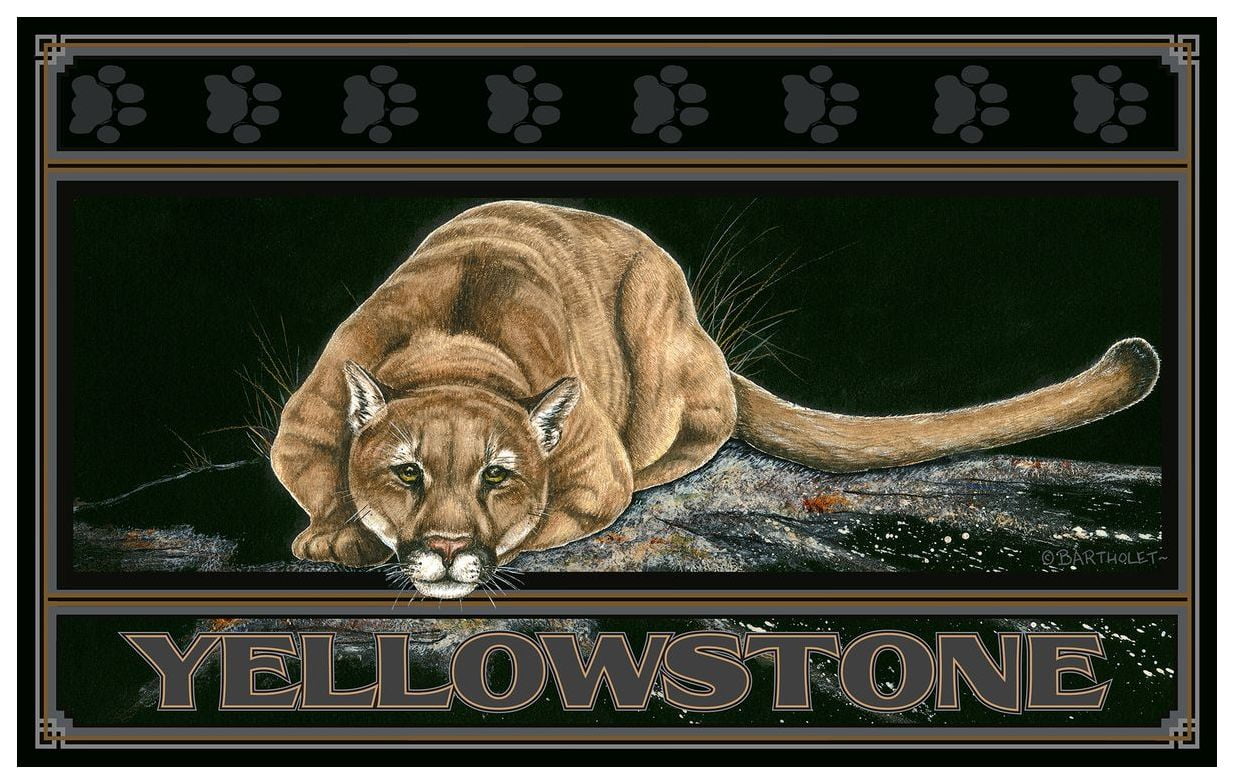 Silent Night Cougar Yellowstone National Park Giclee Art Print Poster from Original Watercolor by Artist Dave Bartholet