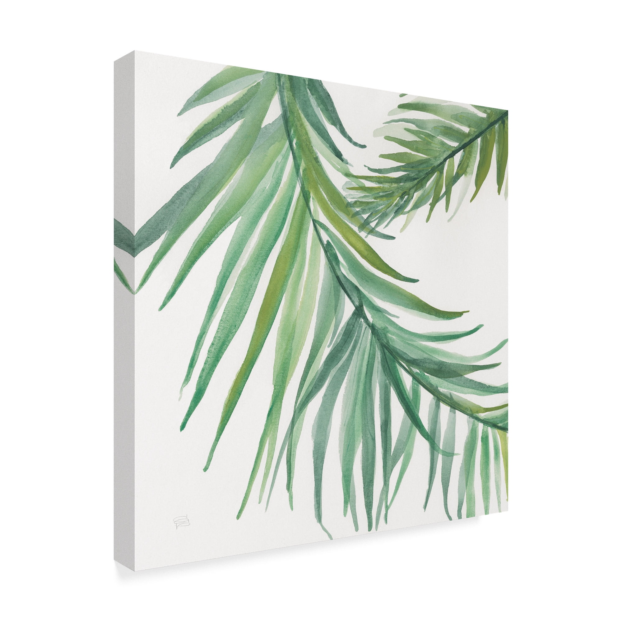 Trademark Fine Art 'Ferns Square IV' Canvas Art by Chris Paschke