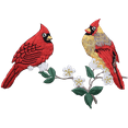 thumbnail image 2 of Women's Cardinal Couple on Branch 5-button 3/4 Sleeve Henley Shirt, 4XL Cloud Blue, 2 of 3