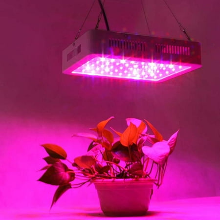 Ktaxon LED Grow Light 600w Double Chips Full Specturm Veg Flower Indoor Growing Lamp Kits For Indoor Plant Hydroponic Panel Fixture Bonsai Vegetables Medical Plants Herb All Stages of Plant (Best Medicinal Herbs To Grow Indoors)