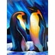 thumbnail image 1 of 30x40cm 5d Diy diamante pintura completa, srie De Peintures Dcoratives D'animaux # m, diy diamante Rhinestone, 1 of 5