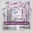 thumbnail image 3 of Papel higiénico Regio Suspiros de Lavanda 18 rollos con 230 hojas dobles c/u, 3 of 4