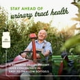 thumbnail image 4 of Swanson Cranberry 20:1 Herbal Supplement, Helps Promote Healthy Urinary Tract & Kidney Function, 180 Softgels, 4 of 8