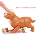 thumbnail image 4 of MUÑECA MATTEL BARBIE CACHORROS RECIEN NACIDOS, 4 of 8