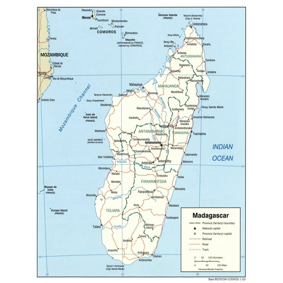 Palmetto Posters Map of Madagascar 24" x 31" Poster