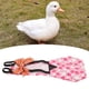 thumbnail image 5 of Pañales De Pollo Para Mascotas, Lindos Pañales Ajustables Reutilizables Impermeables Lavables Para Aves De Corral Para Patos Para Aves De Corral ANGGREK  Otros, 5 of 8
