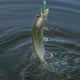 thumbnail image 4 of Señuelo de calamar con anzuelo, 30g, señuelo Artificial para pesca, señuelo de camarón de madera para pesca en el mar, 4 of 7