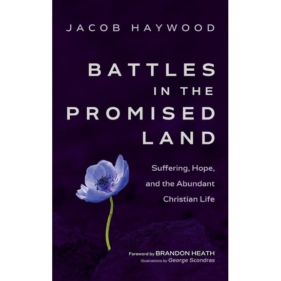 Battles in the Promised Land (Hardcover)