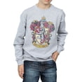 thumbnail image 1 of Harry Potter Boys Gryffindor Sweatshirt, 1 of 7