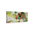 thumbnail image 2 of Trademark Fine Art 'Abundance I' Canvas Art by Heather Robinson, 2 of 4
