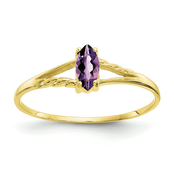 10k Yellow Gold Amethyst Birthstone Ring February Gemstone