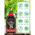 thumbnail image 4 of TNVitamins Beet Root Capsules 1500mg - 100 Count | Beet Root Powder Extract Capsules for Men & Women, 4 of 7