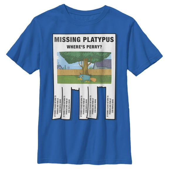 Boy's Phineas & Ferb Phineas and Ferb Missing Perry Platypus Poster Graphic Tee Royal Blue Small