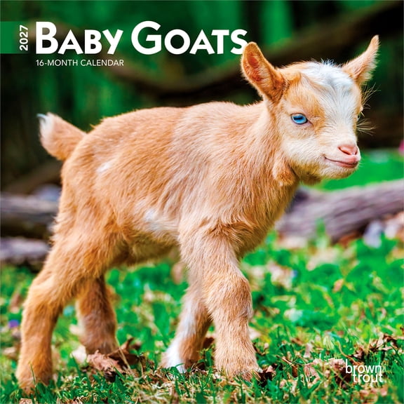 Baby Goats | 2027 7x14" (Hanging) Mini Wall Calendar