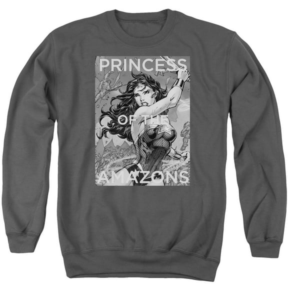 JLA Justice League Princess Of The Amazons Adult Crewneck Sweatshirt Charcoal