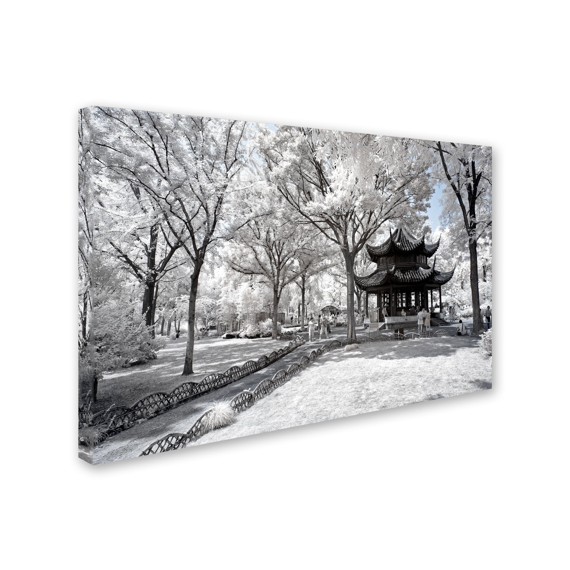 Trademark Fine Art "Coldness" Canvas Art by Philippe Hugonnard