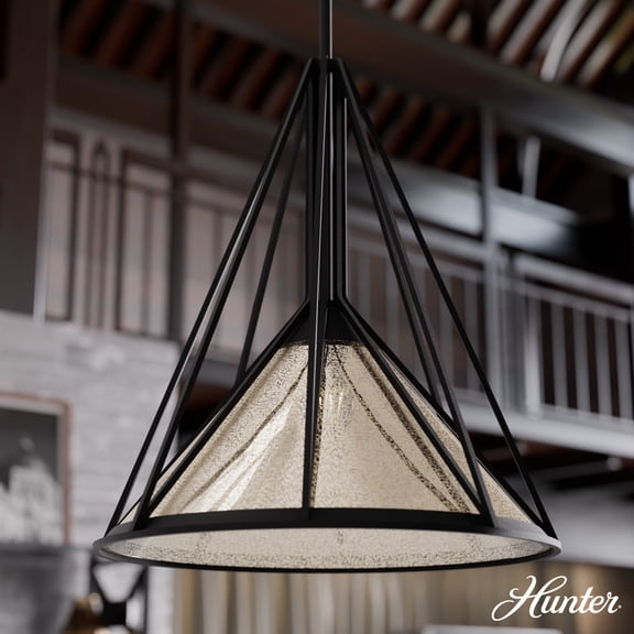 Hunter - Rafner 1-light Natural Black Iron, Medium Size Pendant Light, Dimmable, Geometric Shaped, for Bedrooms, Dining, Living Rooms - 19453