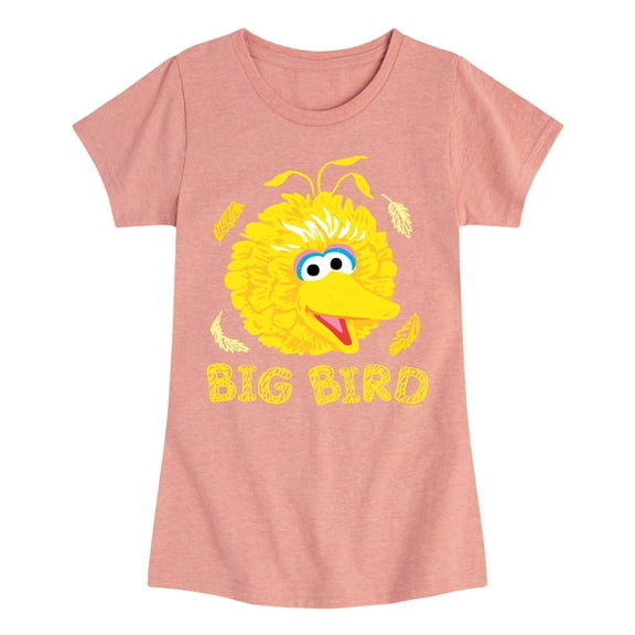 Sesame Street - Big Bird Face - Girls Fitted Short Sleeve Graphic T-Shirt