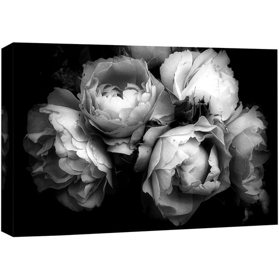 wall26 Canvas Print Wall Art Bouquet of Chinese Rose Flowers Floral Plants Photography Modern Art Rustic Closeup Dramatic Duotone Dark Black and White for Living Room, Bedroom, Office - 16"x24&q