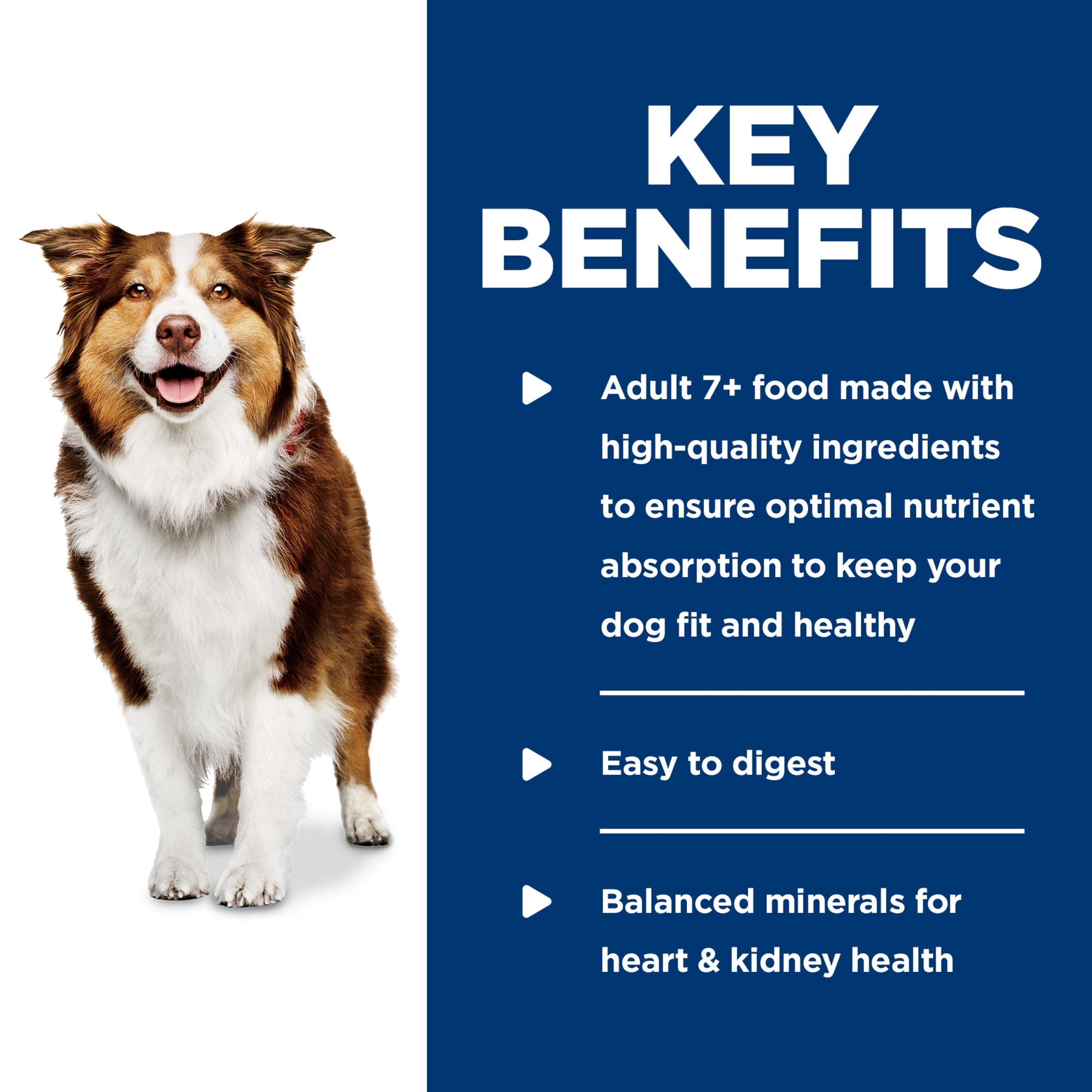 Hill's Science Diet Beef & Vegetables Wet Dog Food for 7+ Senior Dogs, 12.8oz Can 12pk
