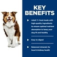 thumbnail image 5 of Hill's Science Diet Beef & Vegetables Wet Dog Food for 7+ Senior Dogs, 12.8oz Can 12pk, 5 of 8