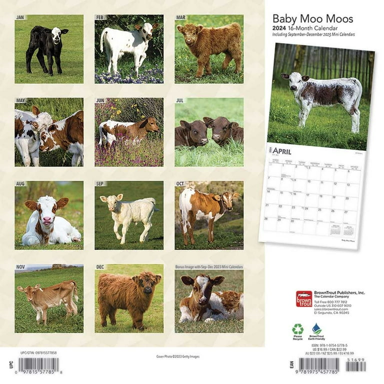 2025 Cow Calendar September 2 Elyse Imogene